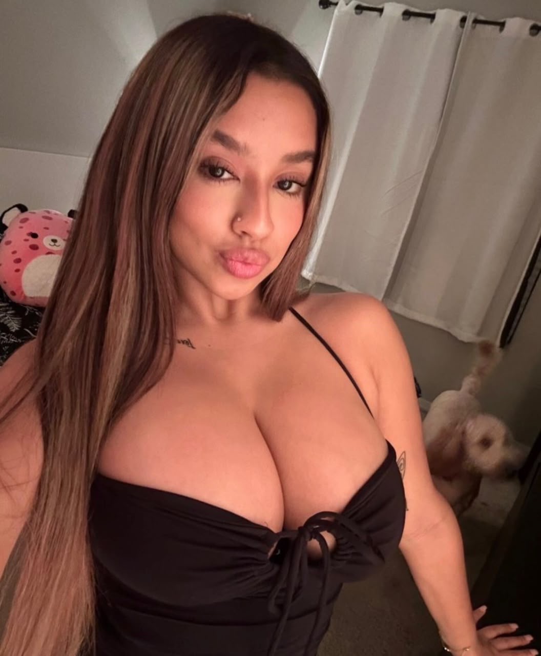 Gallery Preview