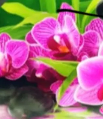 Thai Massage xxx profile picture - Hardway escort - Seductive Seekers